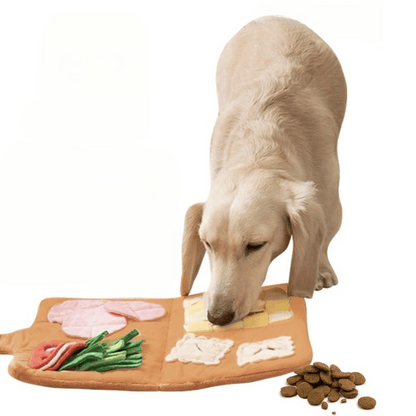 Deli-Hound Dog Snuffle Mat for Slow Feeding & Treat Dispensing