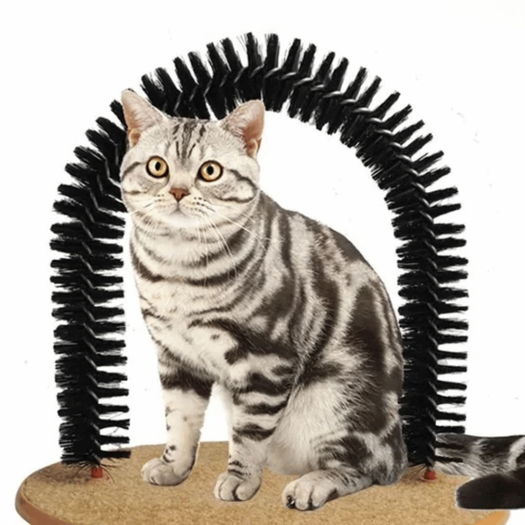 Cat Self-Groomer Rubbing Brush Arch for Scratching & Play 7