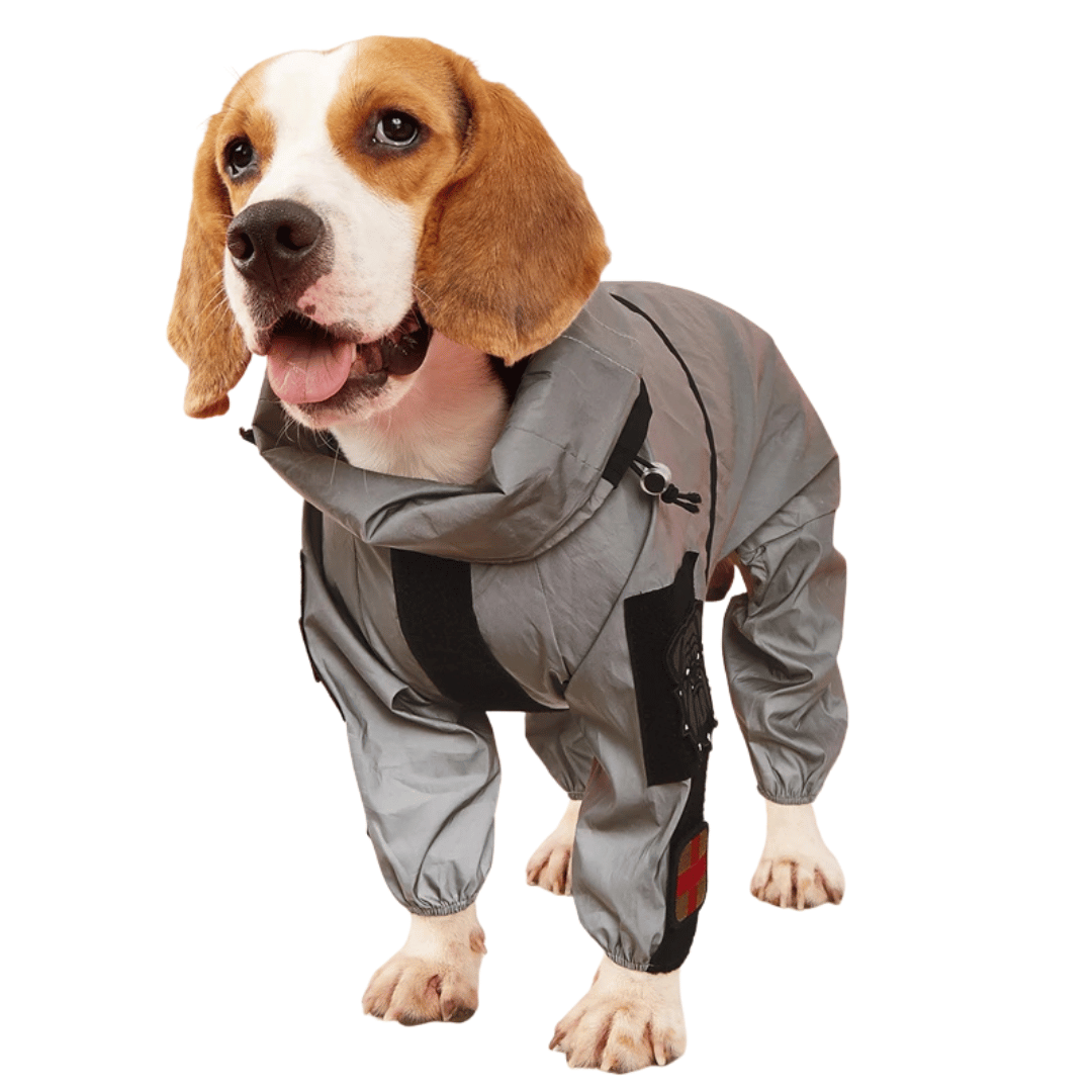 Reflective Full Body Dog Jacket with Adjustable Snood | Waterproof Dog Raincoat Jumpsuit