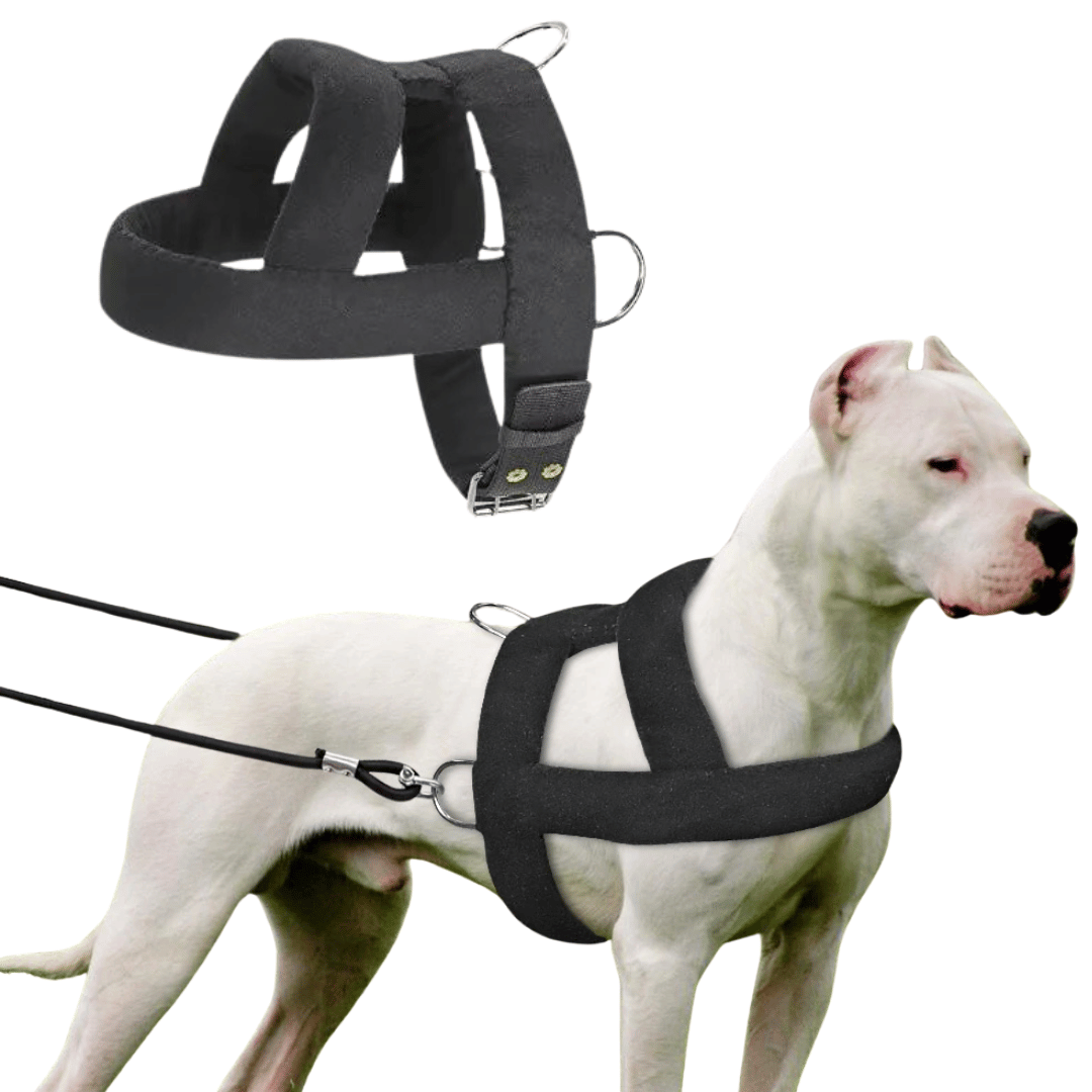 Heavy-Duty Dog Weight Pulling Harness with Padded Comfort for Strength Training 1