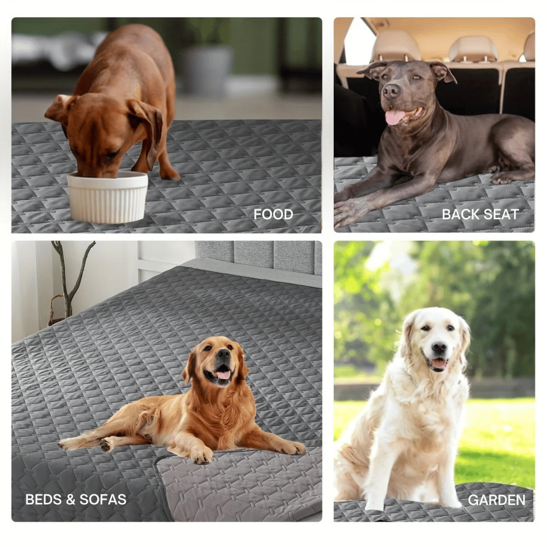 Double-Sided & Water-Resistant Dog Blanket Furniture Protector for Beds & Sofas 3