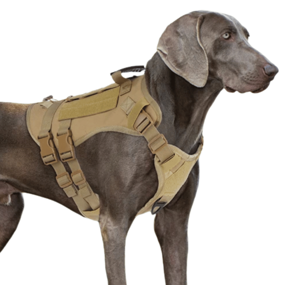 Reinforced Military-Style Dog Harness for Larger Breeds with Handle | Tactical Dog Training Vest 9