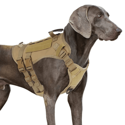 Reinforced Military-Style Dog Harness for Larger Breeds with Handle | Tactical Dog Training Vest 9