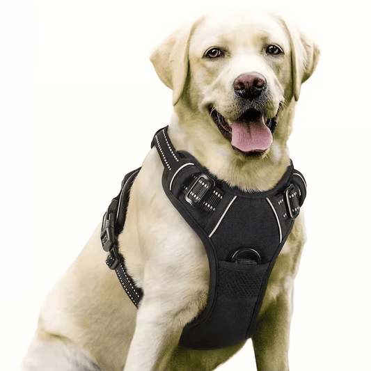 Dog Harness Training Vest with Reflective Straps, Handle & Secure Buckles 1
