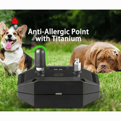 800m Remote Controlled Dog Training Collar | Rechargeable Shock, Vibration & Beep E-Collar