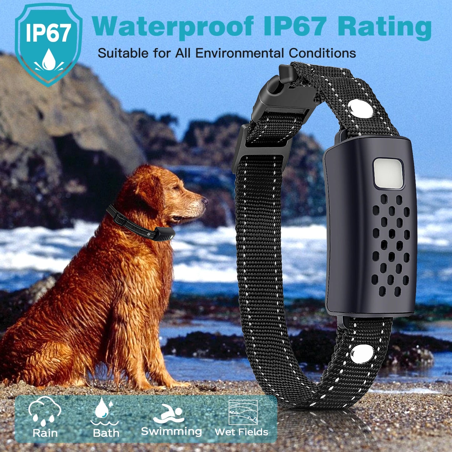 Night-Safe Flashlight Dog Training Collar & Remote Control up to 1000m