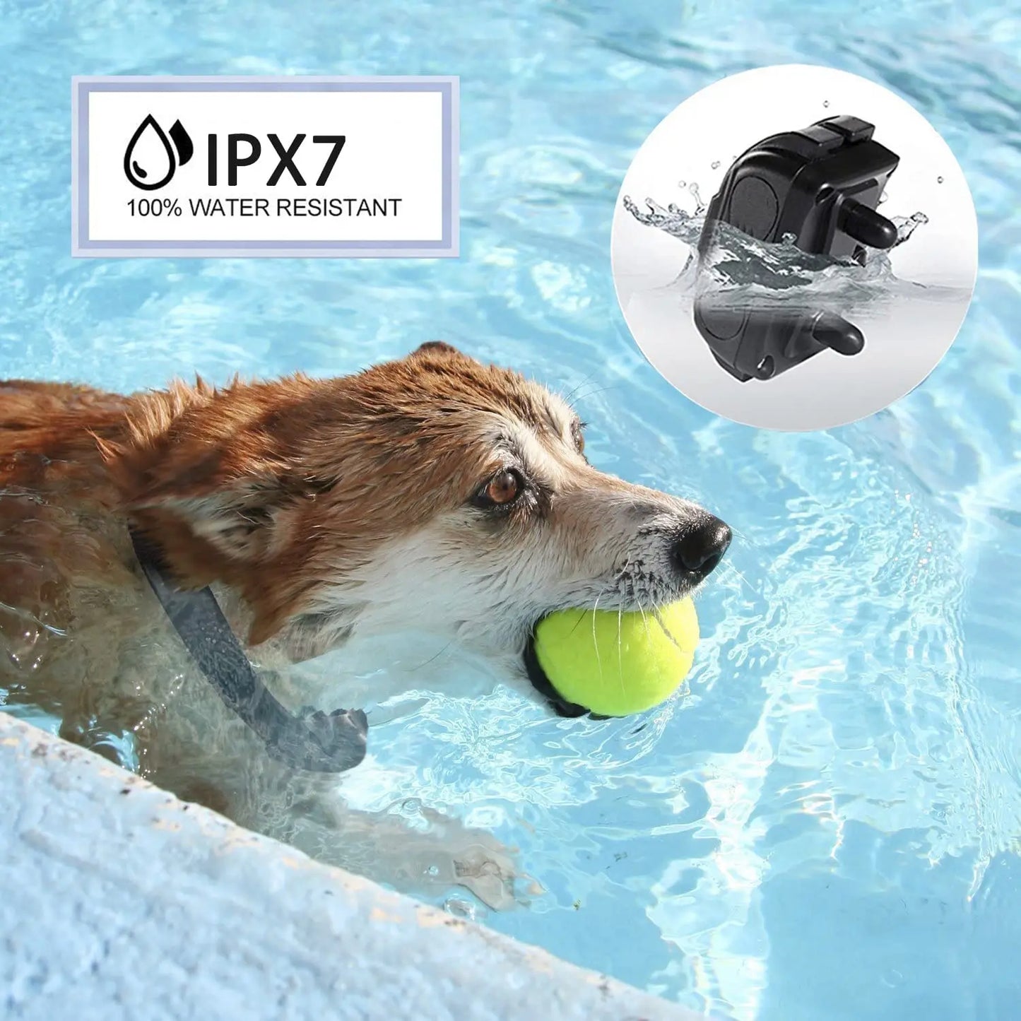 300m Dog Training Collar with Remote Control | Rechargeable & Waterproof 6