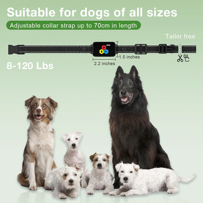 Dog Training eCollar with Slim & Simple Remote for Behaviour Control | Sound, Vibration & Boost Shock | Up to 1000m Range & Waterproof