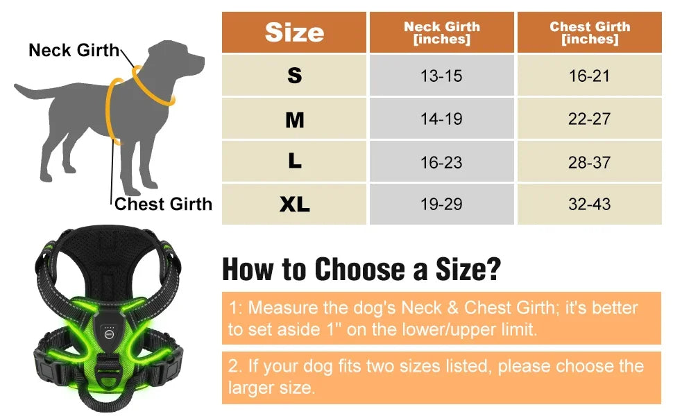 Bright LED Dog Harness for Safe Walking At Night | USB Rechargeable 7