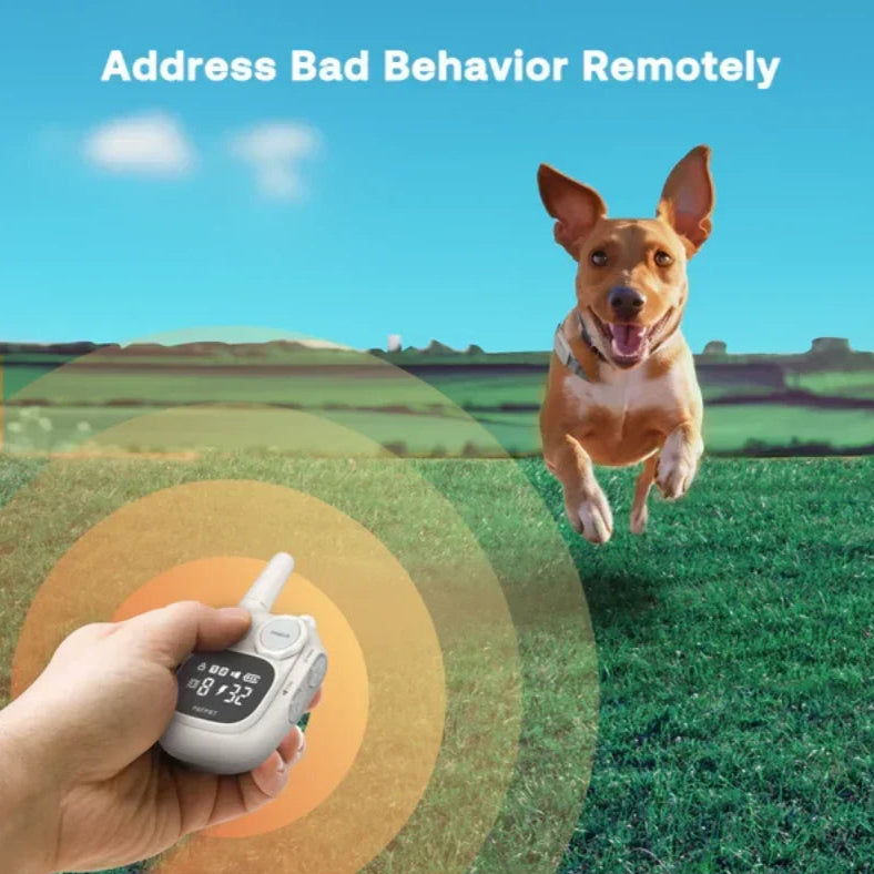 Compact Remote Control Dog Training Collar for Smaller Dogs 2