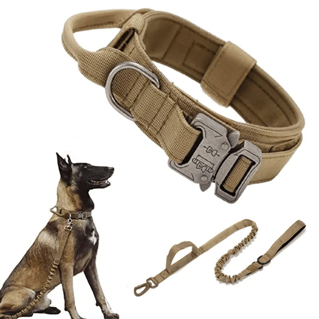 Heavy Duty Military-Style Tactical Dog Collar & Leash for Large & XL Dogs 5