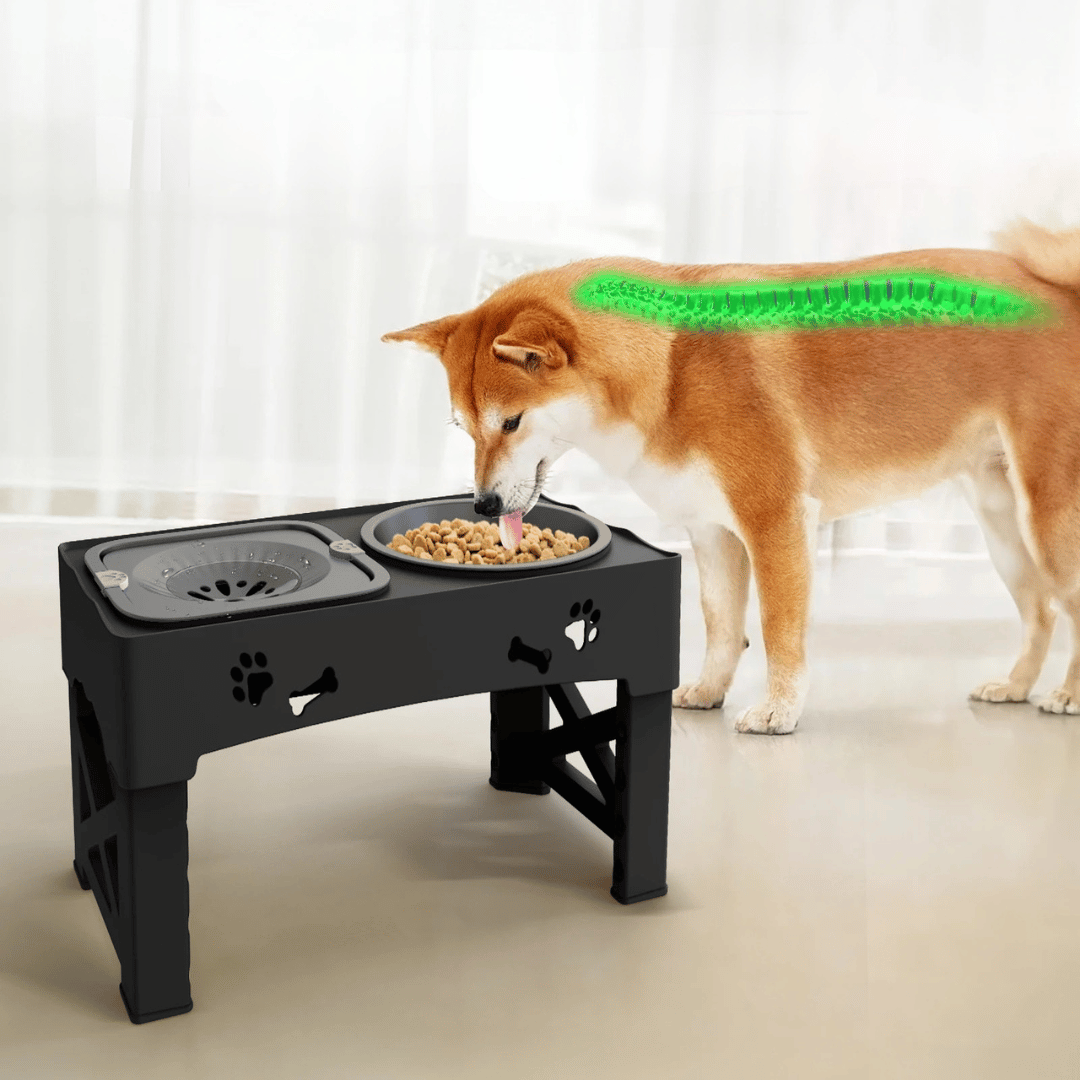 Slow Feeder Bowls Elevated Dog Feeding Station | Stable & Adjustable 4