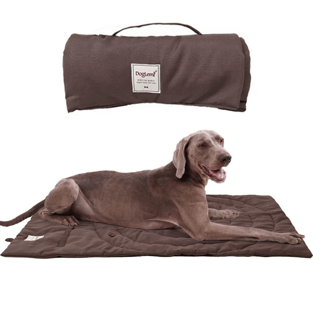 Water-Resistant Portable Dog Travel Mat 2