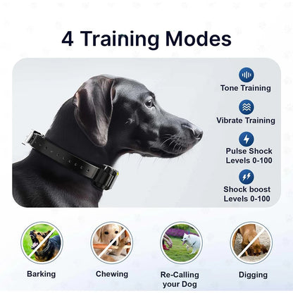 1 Mile Range Remote Dog Training Collar for Big & XL Dogs
