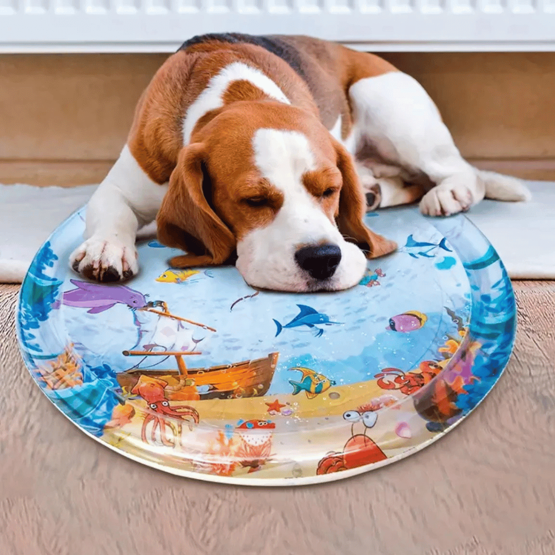 Inflatable & Fillable Sensory Pet Water Bed Cushion 5