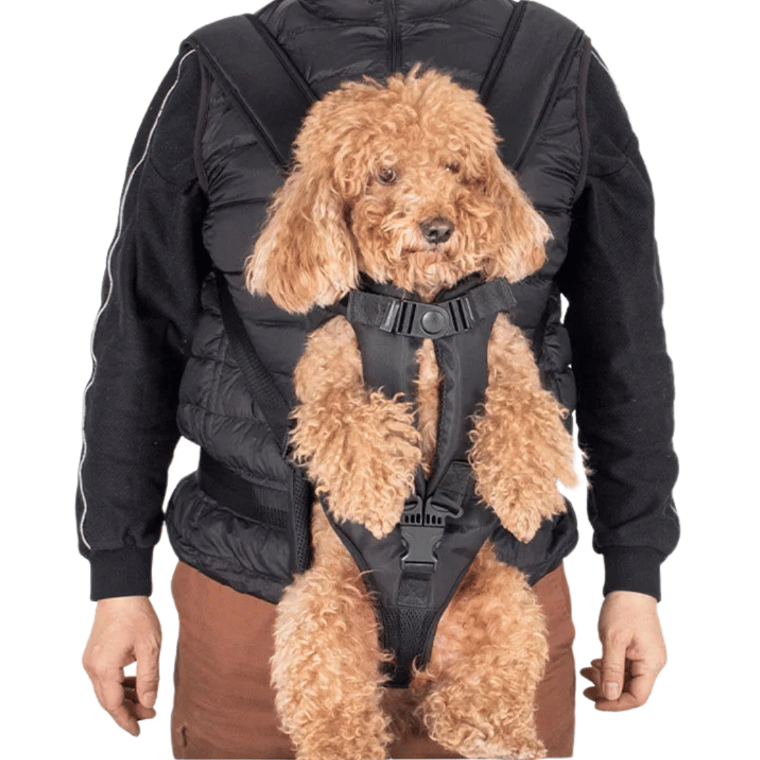 Secure & Comfy Dog Carrier Backpack | Breathable & Fully Adjustable Pet Backpack 10