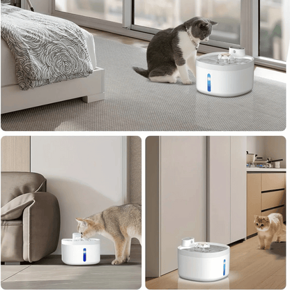 Wireless Pet Water Fountain for Fresh Flowing Drinking Water for Cats & Dogs | USB Rechargeable
