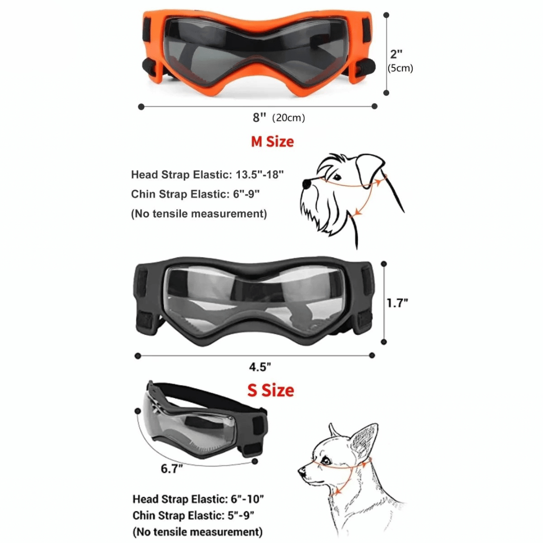 Small Breed Dog Goggles | Protective Dog Sunglasses for Wind & Sun