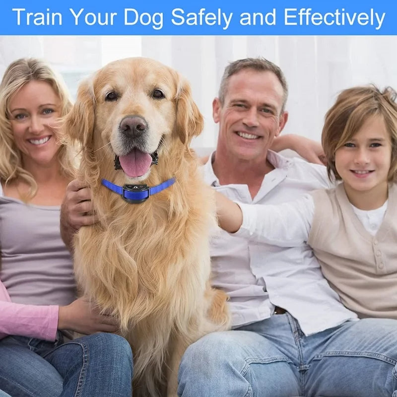 Sound & Vibrate No Shock Dog Training Collar & Remote 9