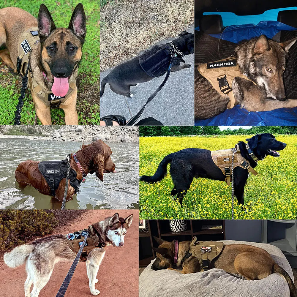 Heavy-Duty Military-Style Dog Harness with Handle for Large Dogs 19