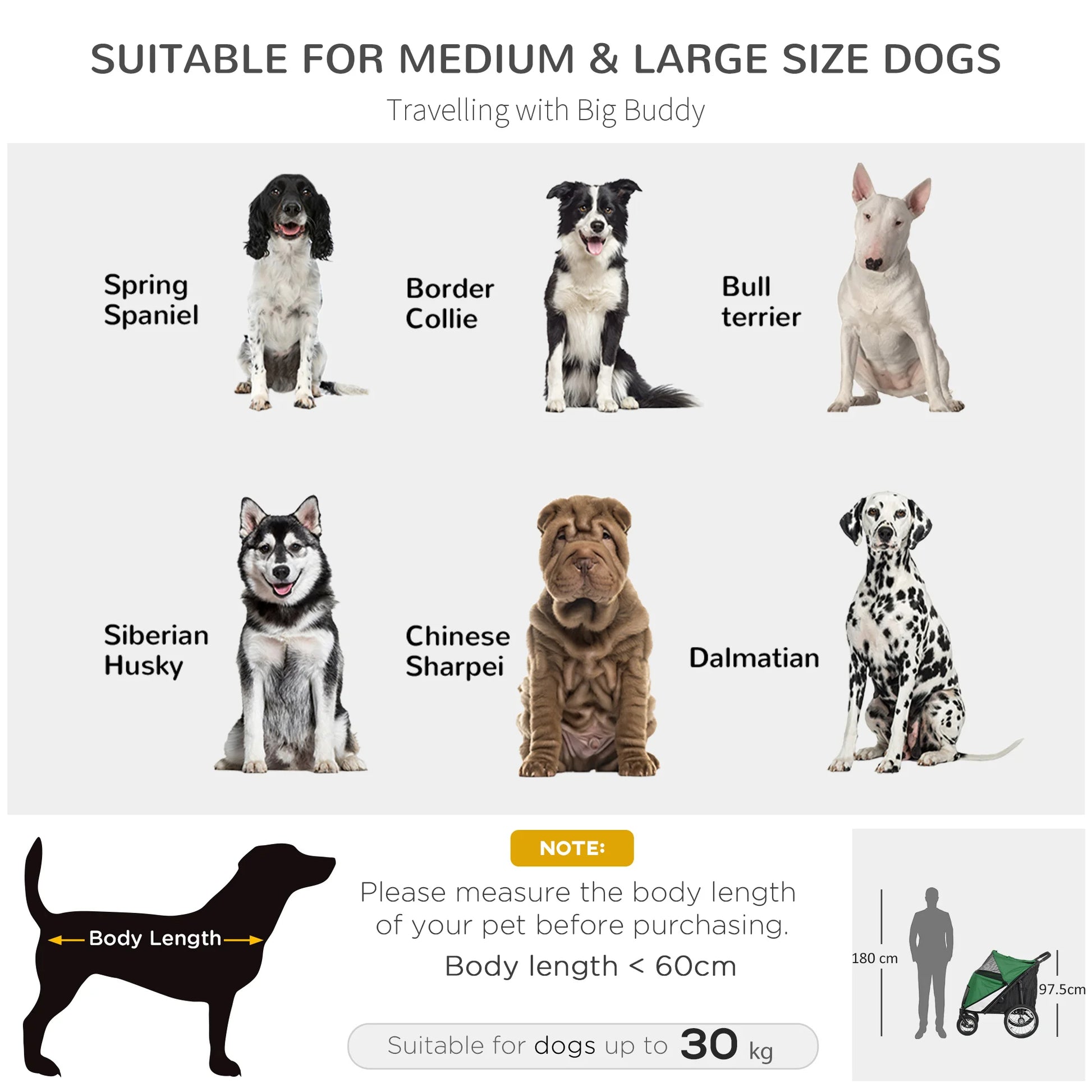 Heavy-Duty Dog Stroller for Large Dogs with Inflatable Tyres for Outdoor Terrain 5
