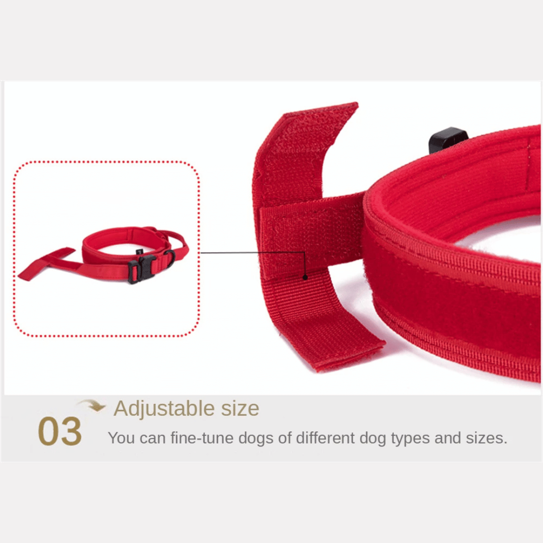 Heavy Duty Military-Style Tactical Dog Collar 22