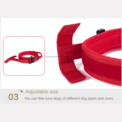 Heavy Duty Military-Style Tactical Dog Collar 22