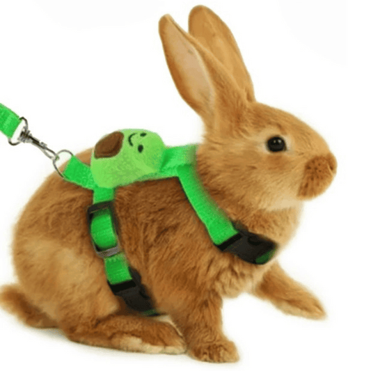 Adjustable Rabbit Harness & Lead Set 1