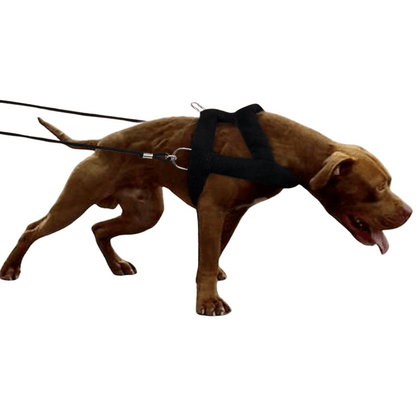 Heavy-Duty Dog Weight Pulling Harness with Padded Comfort for Strength Training 17