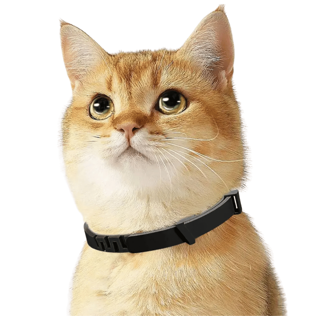 Cat Calming Collar with Safe Pheromones for Anxiety Relief & Soothing 2