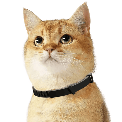 Cat Calming Collar with Safe Pheromones for Anxiety Relief & Soothing 2
