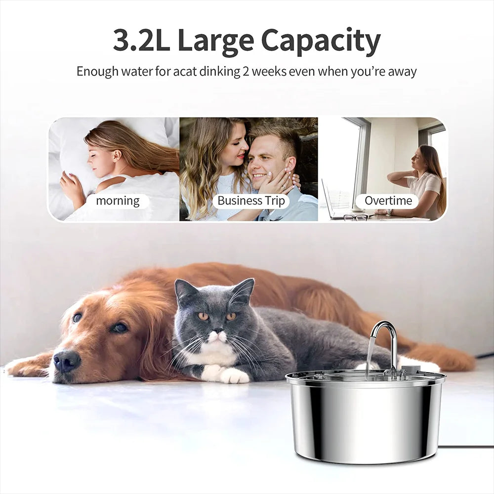 Stainless Steel Automatic Cat Water Fountain with Quiet Motion Sensor | USB Rechargeable