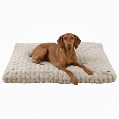 Cloud Comfort Giant & XXL Dog Bed Pillow with Ultra Soft Plush & Washable Cover