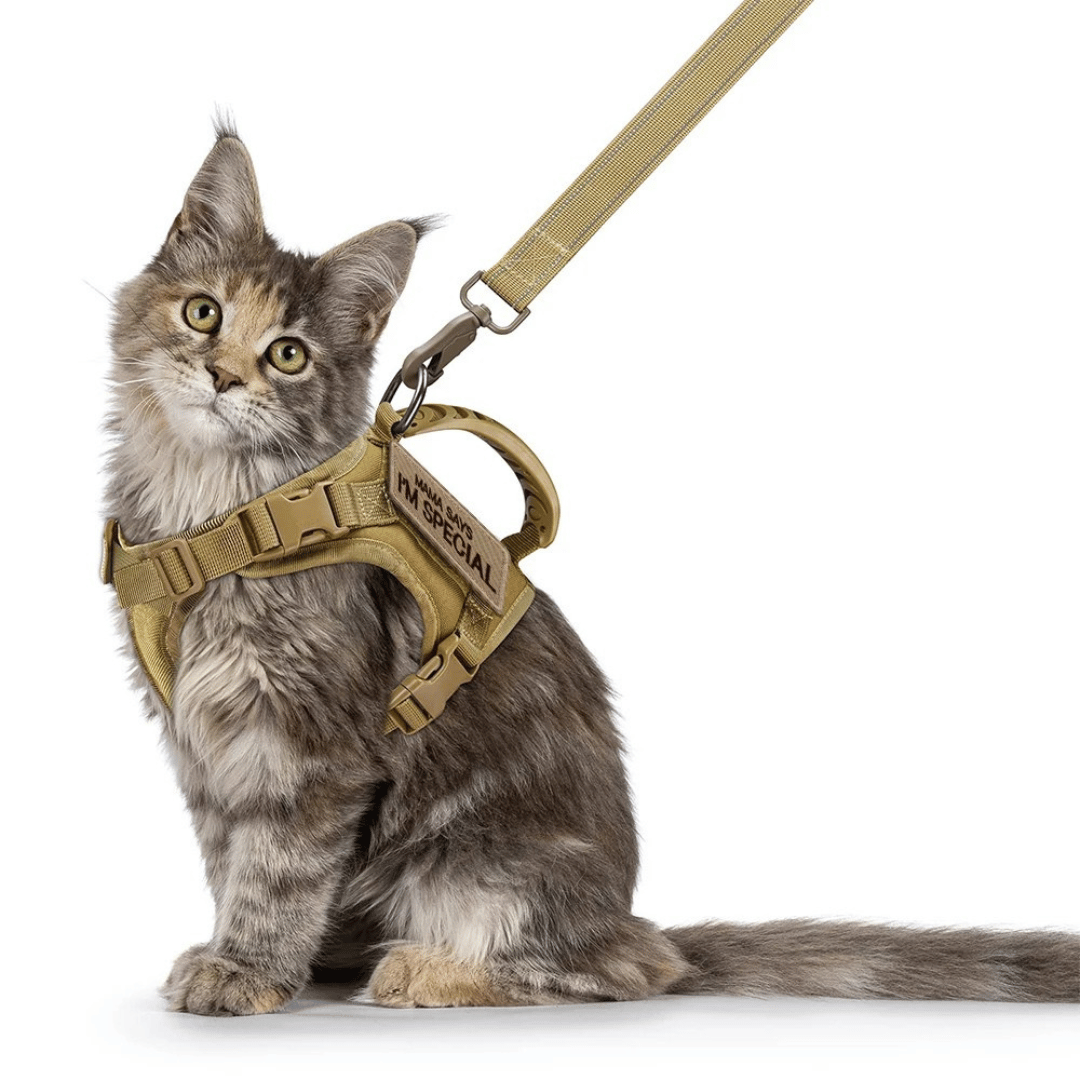 Military-Style Tactical Cat Harness & Leash 1