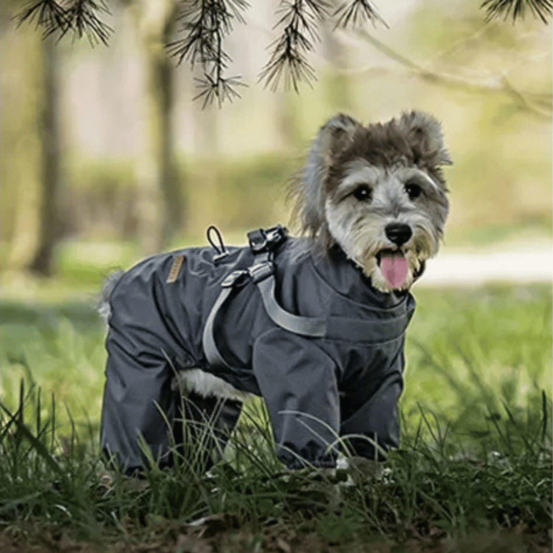 Waterproof Dog Jacket Jumpsuit with Built-In Harness