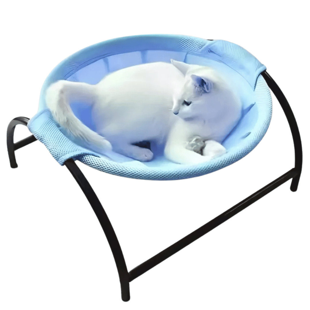 Free-Standing Cat Bed Hammock with Study Frame