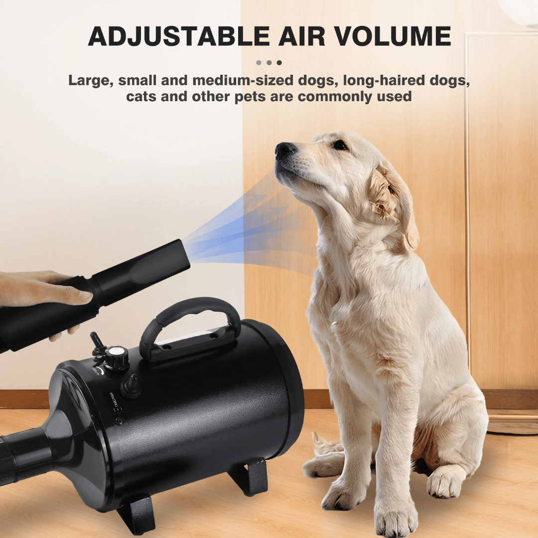 Low-Noise Dog Hairdryer with Temperature Control & Changeable Nozzles | Compact & Portable 2800W Blow Dryer for Dog Grooming 9