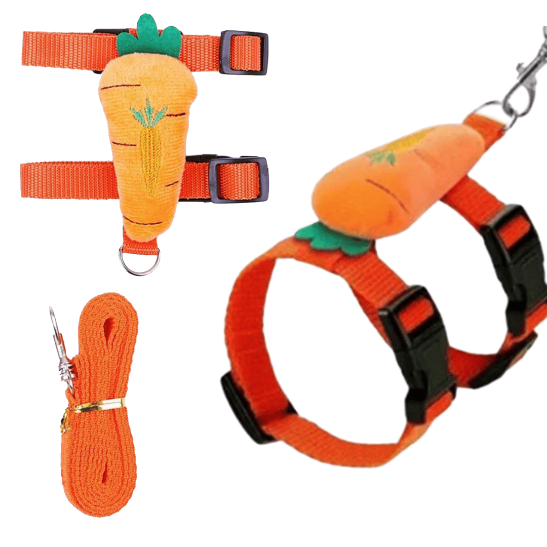 Adjustable Rabbit Harness & Lead Set 2