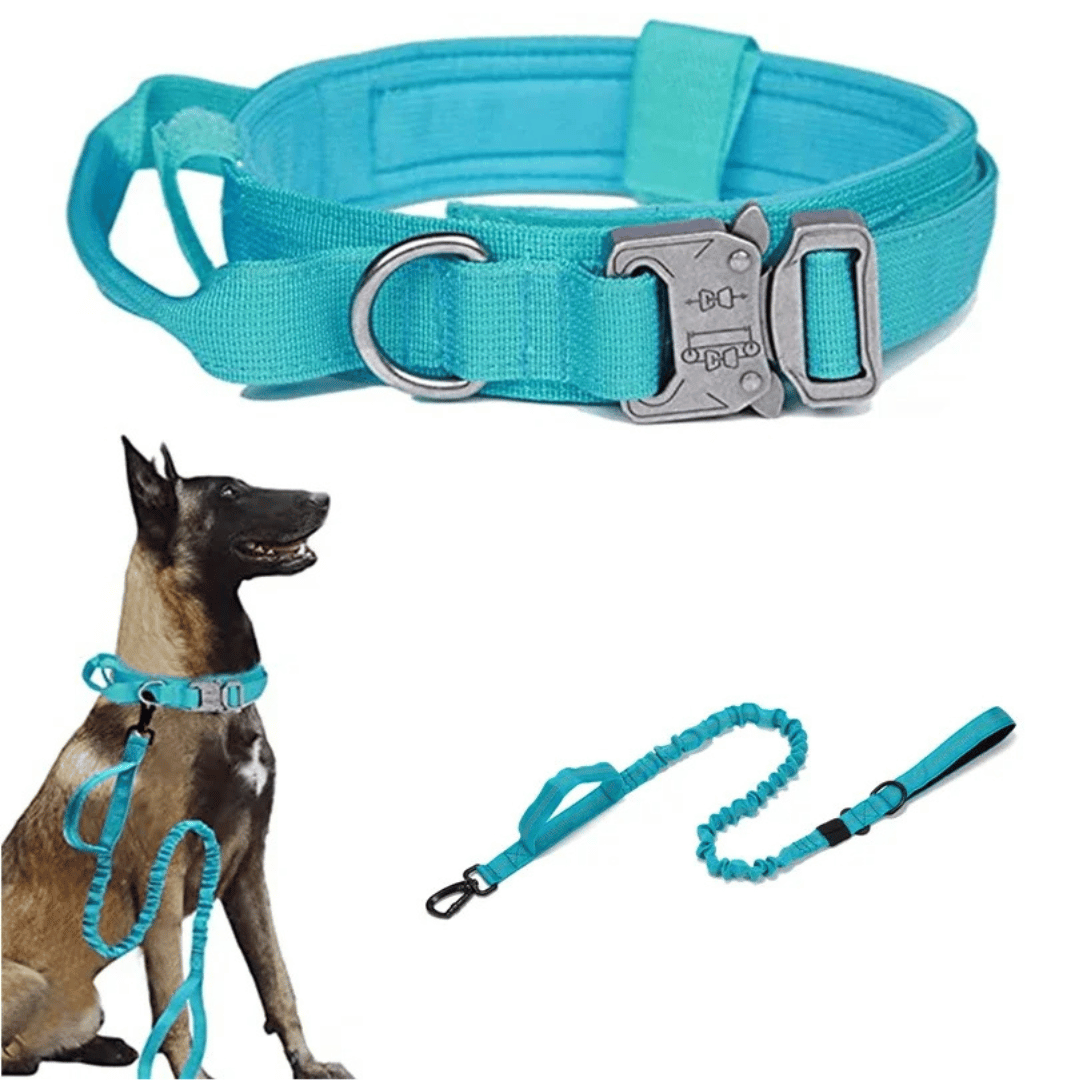 Heavy Duty Military-Style Tactical Dog Collar & Leash for Large & XL Dogs 8