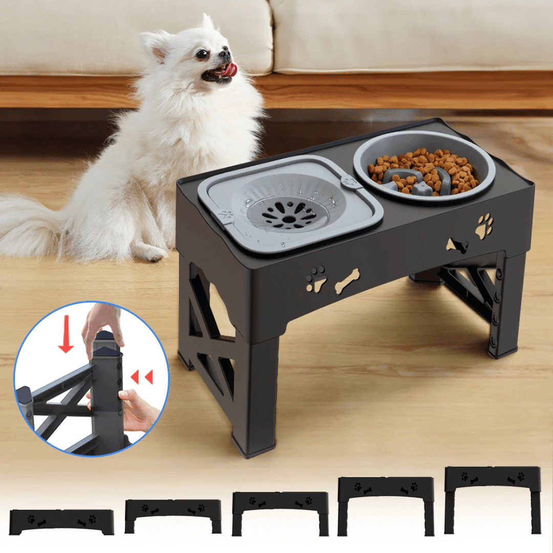 Slow Feeder Bowls Elevated Dog Feeding Station | Stable & Adjustable 3