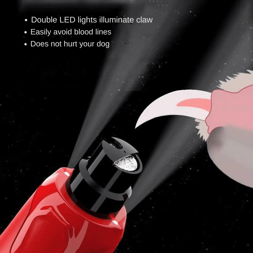 Low-Noise Dog Nail Grinder with LED Light & 6-Speed Control for Safe Claw Trimming 2
