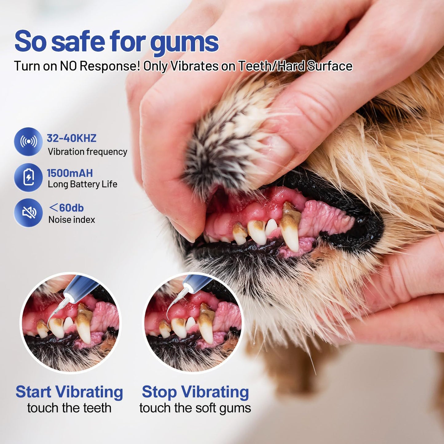 Dog Oral Hygiene Dental Tool Kit | Tartar Control & Teeth Cleaning Set