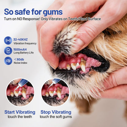 Dog Oral Hygiene Dental Tool Kit | Tartar Control & Teeth Cleaning Set