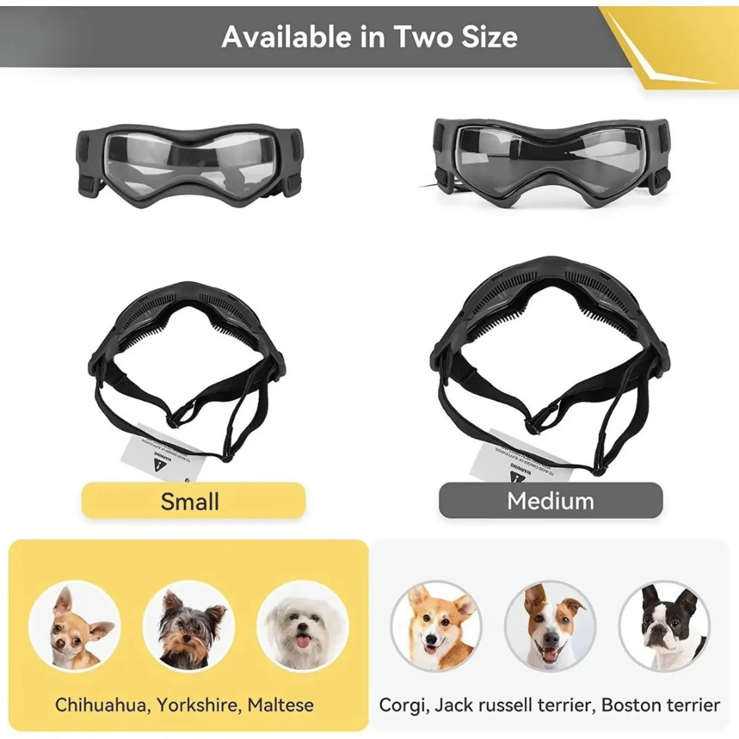 Small Breed Dog Goggles | Protective Dog Sunglasses for Wind & Sun