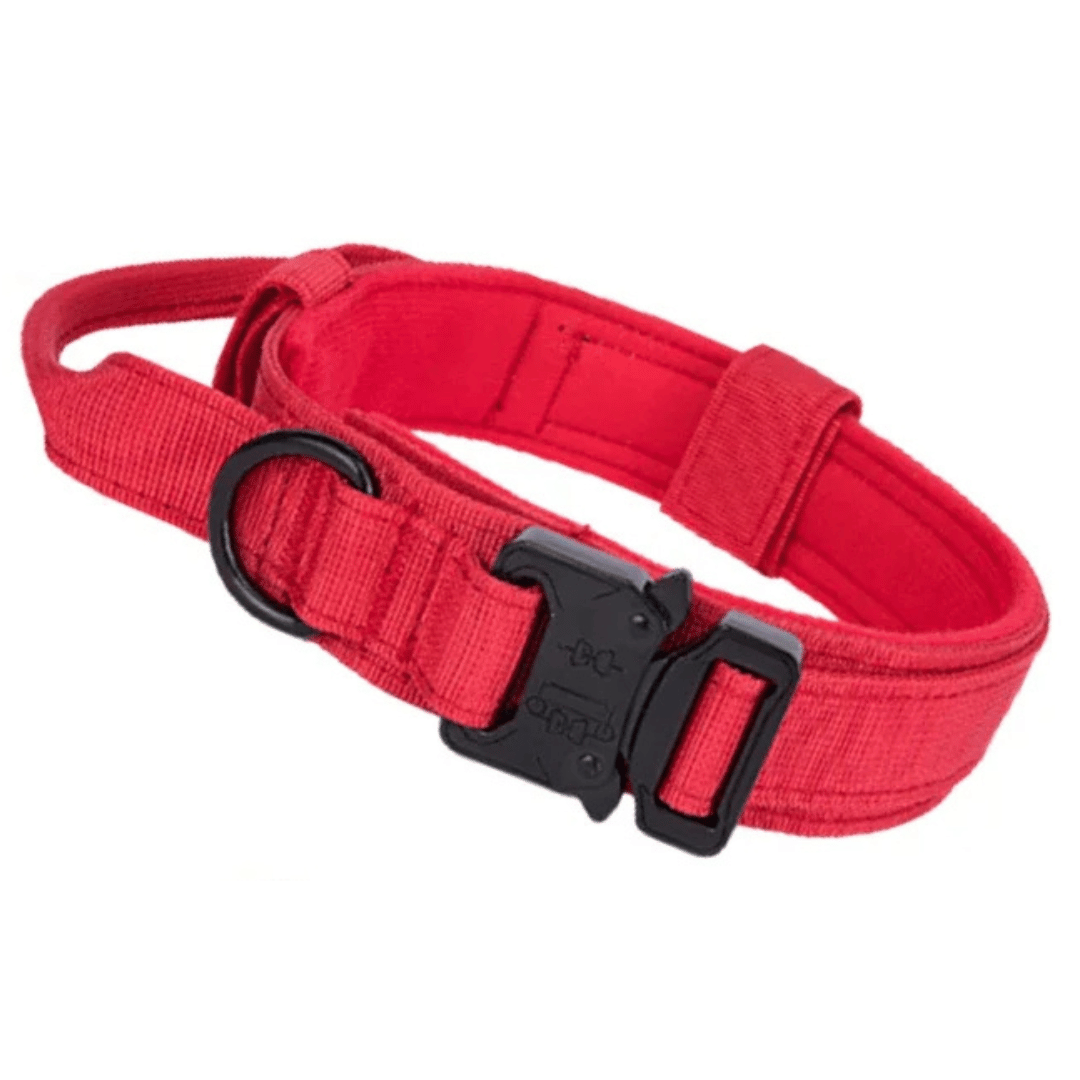 Heavy Duty Military-Style Tactical Dog Collar 31
