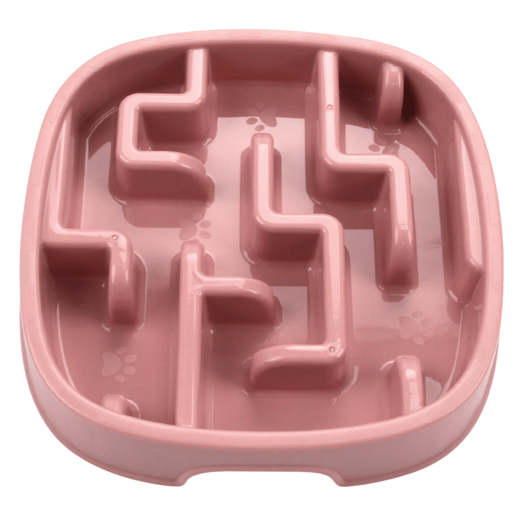 Maze-Design Slow Feeder Pet Bowl for Healthy Eating