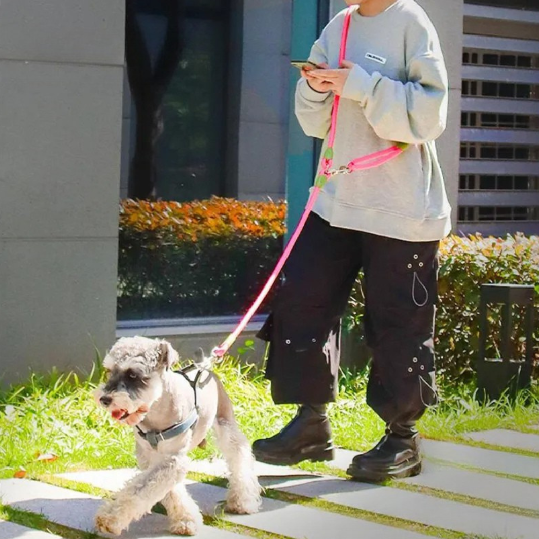 Hands-Free Dog Leash with Thick & Reflective Rope for Larger Breeds | Dog Leash for Running & Walking 7