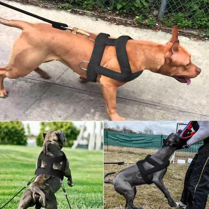 Heavy-Duty Dog Weight Pulling Harness with Padded Comfort for Strength Training 16