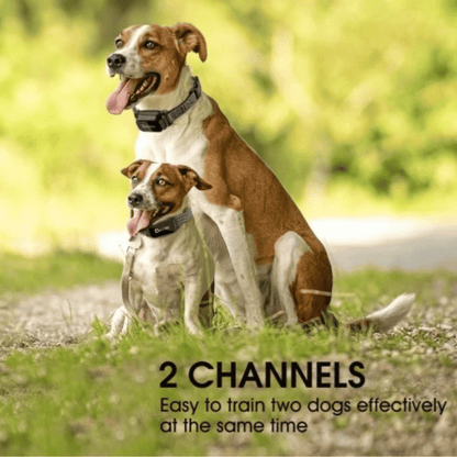 800m Waterproof Digital Dog Training Collar with Remote Control 5