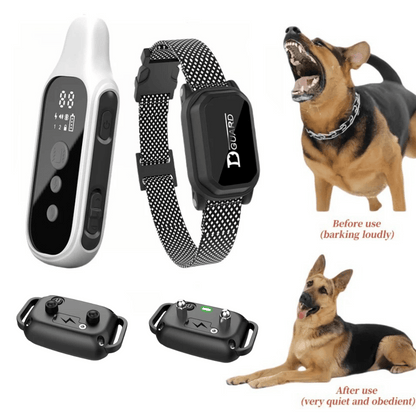 800m Waterproof Digital Dog Training Collar with Remote Control 6